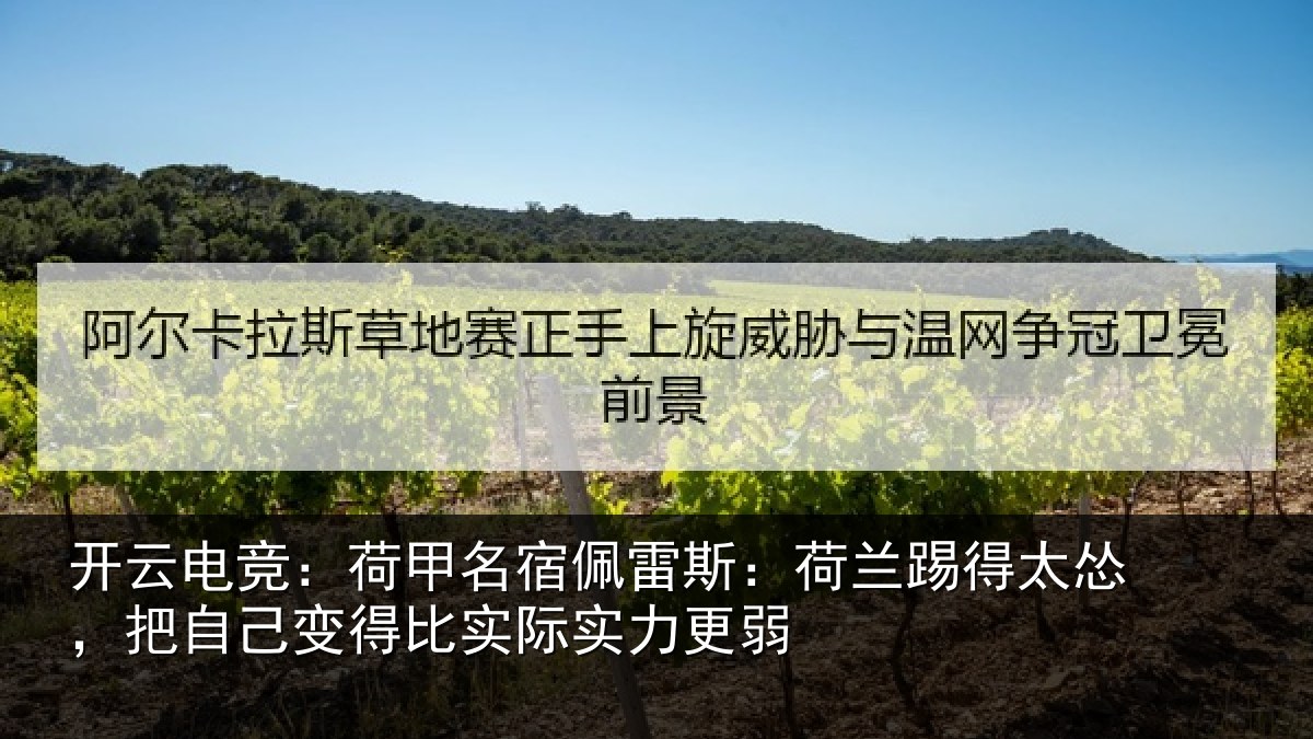 开云电竞：荷甲名宿佩雷斯：荷兰踢得太怂，把自己变得比实际实力更弱